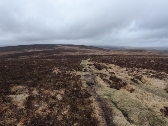 Two Moors way at Hookney Tor