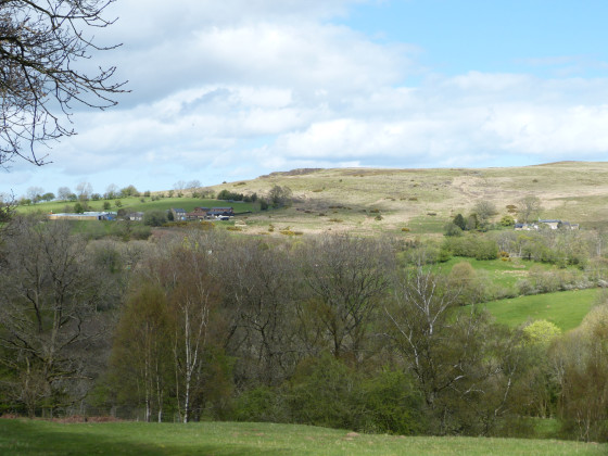 Paysages typiques