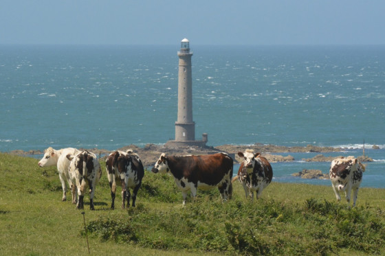 Typiquement normand