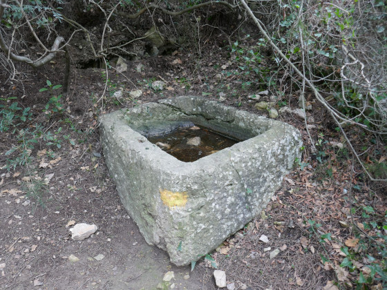 Un abreuvoir