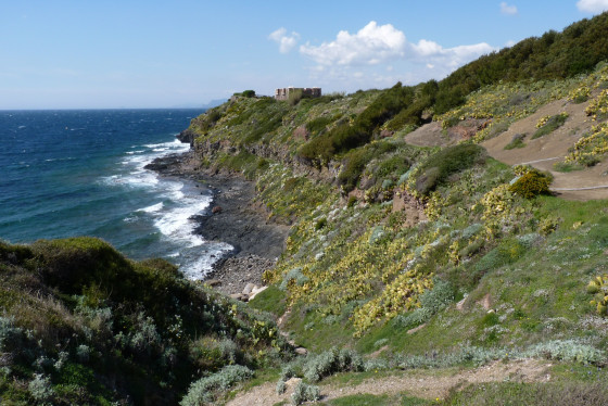 Un air d\'Algérie