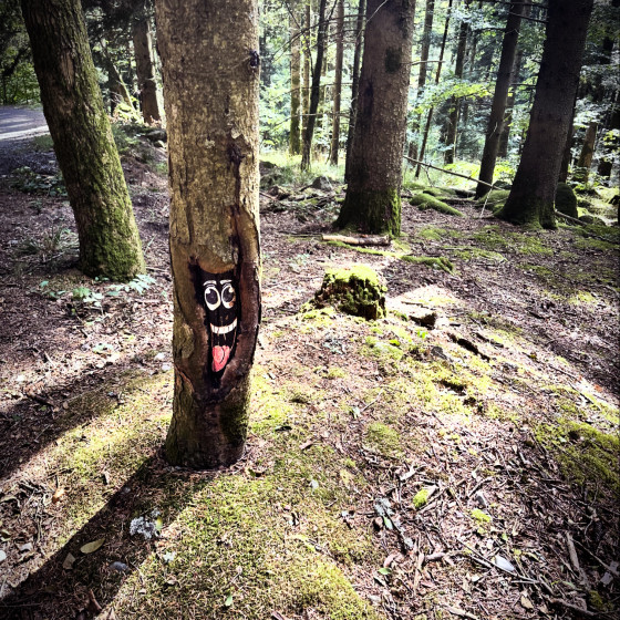 Un arbre au sourire malicieux !