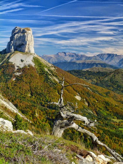 Un arbre, un mont, des nuages