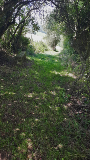 Un banc de pierre sous une vo&ucirc;te de verdure.