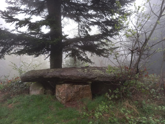 Un banc sur le tracé