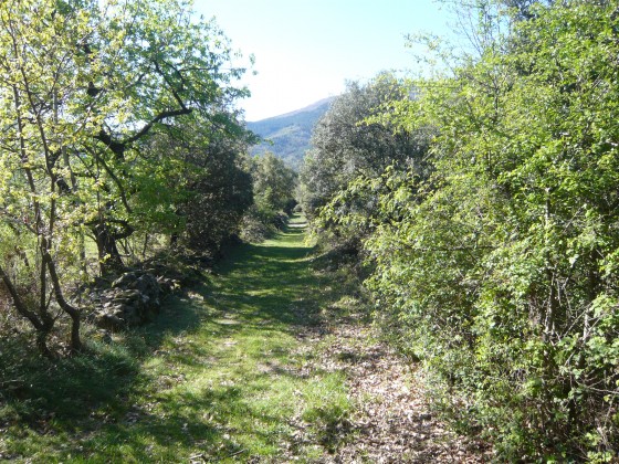 Un beau chemin ardéchois