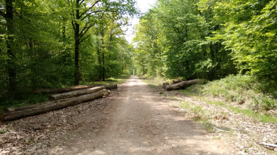 Un beau chemin