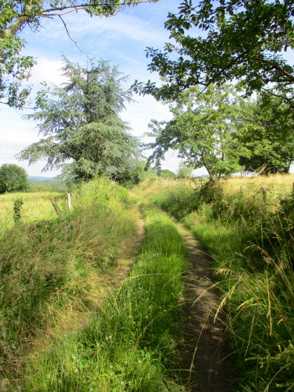 Un beau chemin...