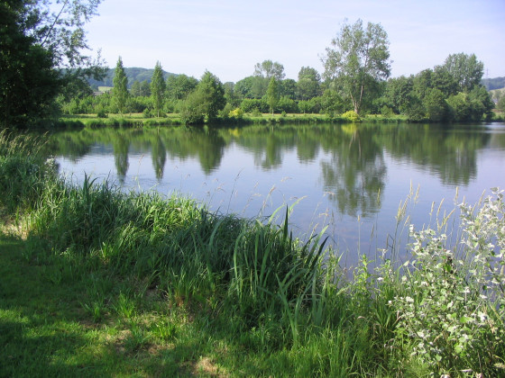 Un bel écrin de nature en Normandie