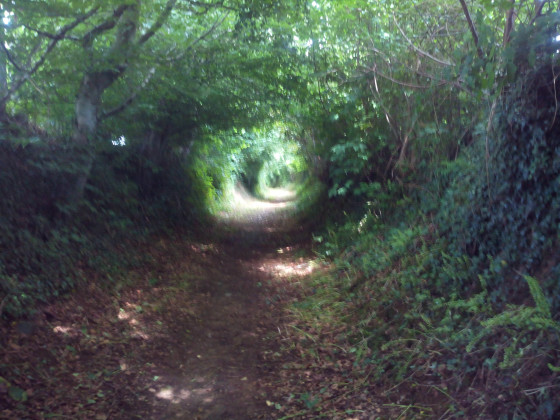 Un chemin creux