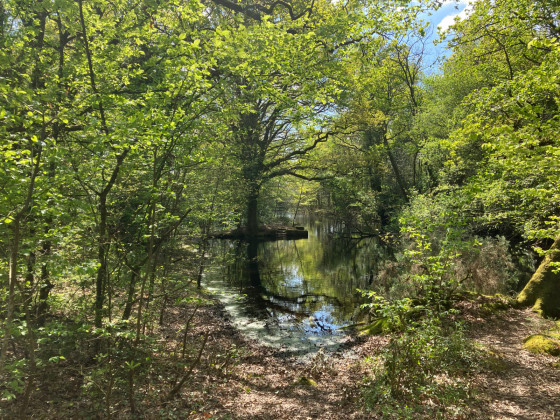 Un coin discret dans le parc du château