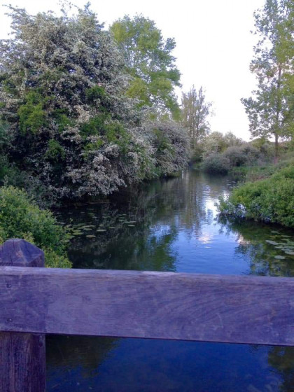 Un des marais...
