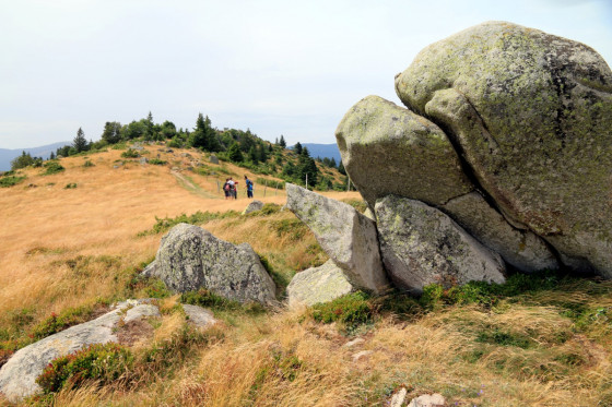 Un des m&eacute;galithes du Steinberg