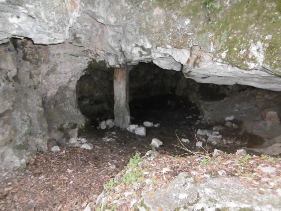 Un des troglodytes