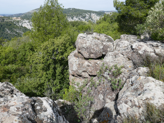 Un détail des orgues de la Courtine
