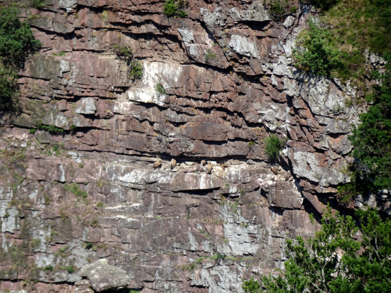 Un dortoir au milieu de la falaise.