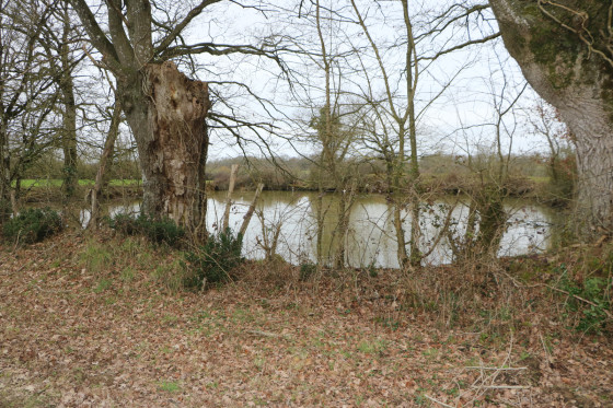 Un étang dans la campagne