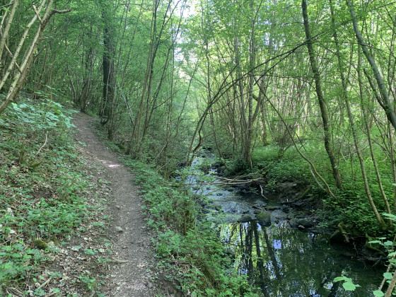Un jolie sentier le long du ruisseau
