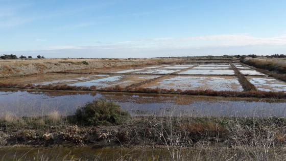 Un marais salant