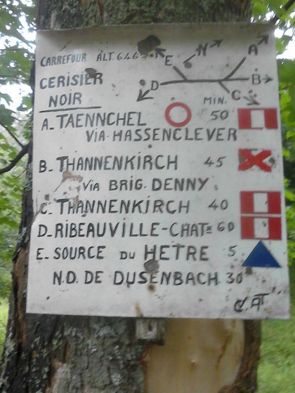 Un panneau dans le massif du Taennchel