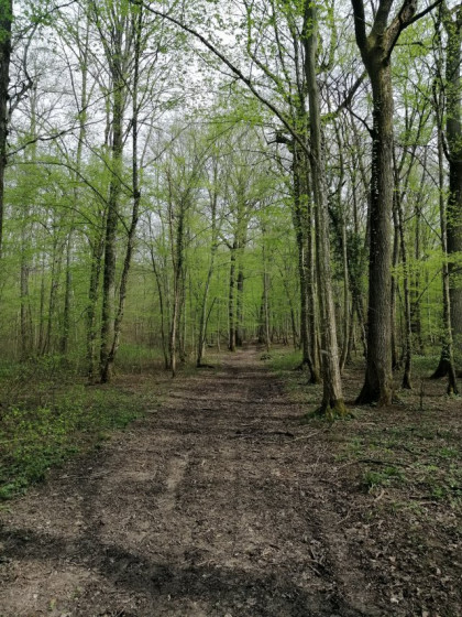 Un parcours ombragé