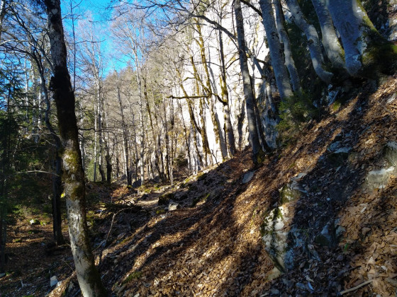 Un passage minéral.