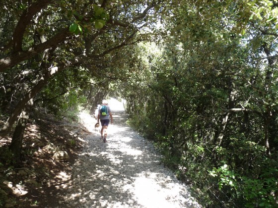 Un passage ombragé