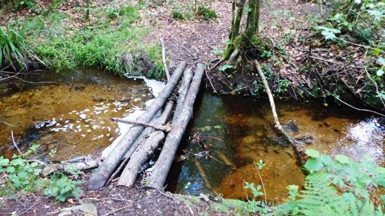 Un passage sur le Lampiot