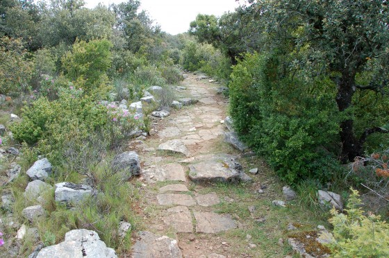 Un pavement naturel