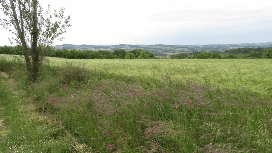 Un paysage à étages