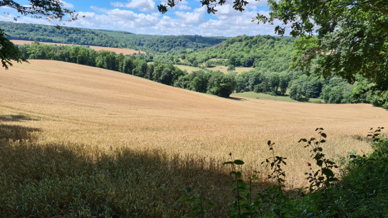 Un paysage aux environs de Gorze