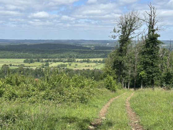 Un paysage d'horizon