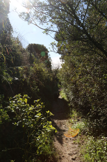 Un petit passage vert