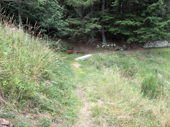 un petit pont de bois