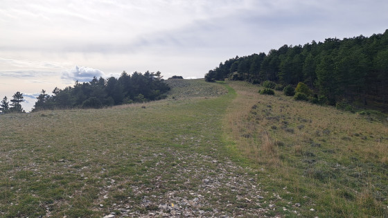 Un peu avant d\'arriver au Mourre Nègre