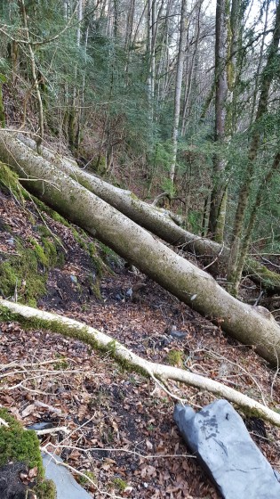 Un peu avant d\'arriver au torrent de la Redo
