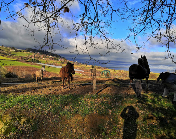 Un peu avant la combe Rollin et le ruisseau de Corsenat