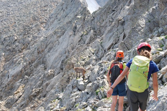 Un peu de compagnie pour la remontée de l\'arête Sud-Ouest