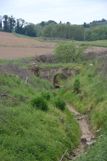 Un Pont Rustique