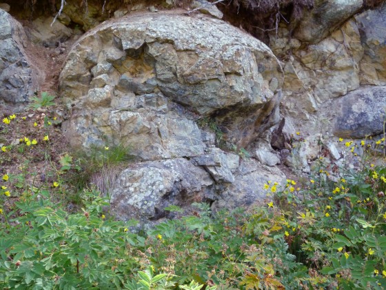 Un premier coussin de lave ... cherchez le volcan !