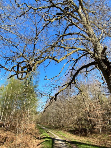 Un printemps pas très précoce