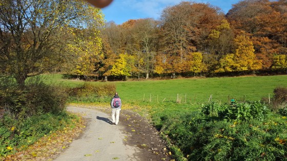 En automne