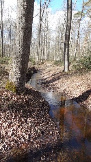 Ruisseau