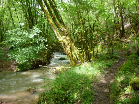 Un sentier fort pittoresque