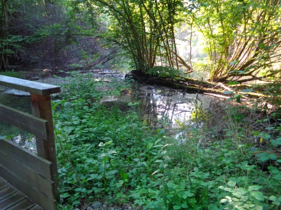 Un sentier pittoresque