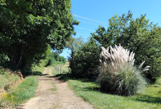 Un si doux sentier