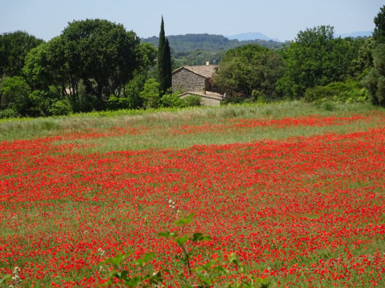 un spot très provençal
