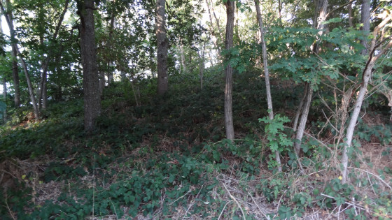 Un tumulus