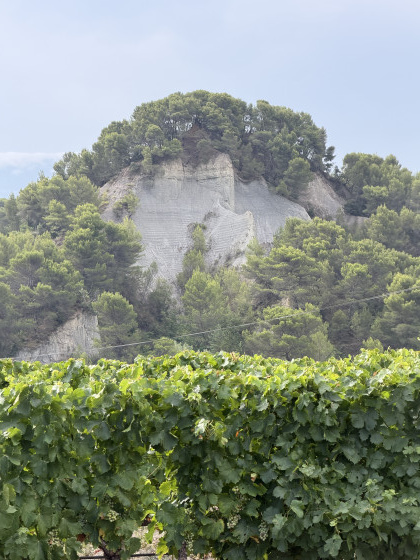 Une belle photo de roche avec vue des vignes