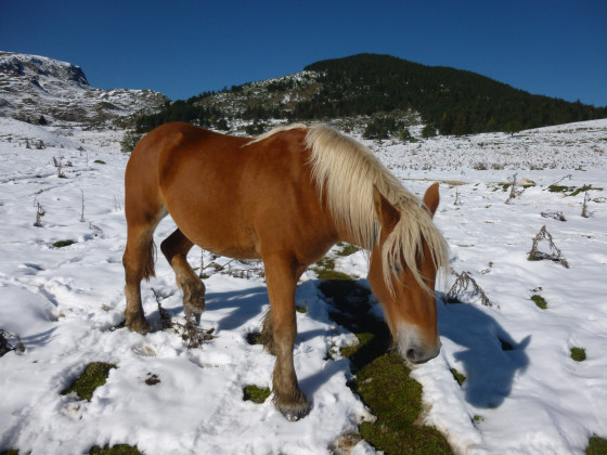 Une belle rencontre